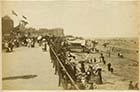 Lower Marine Terrace ca 1880  [Albumin Print]